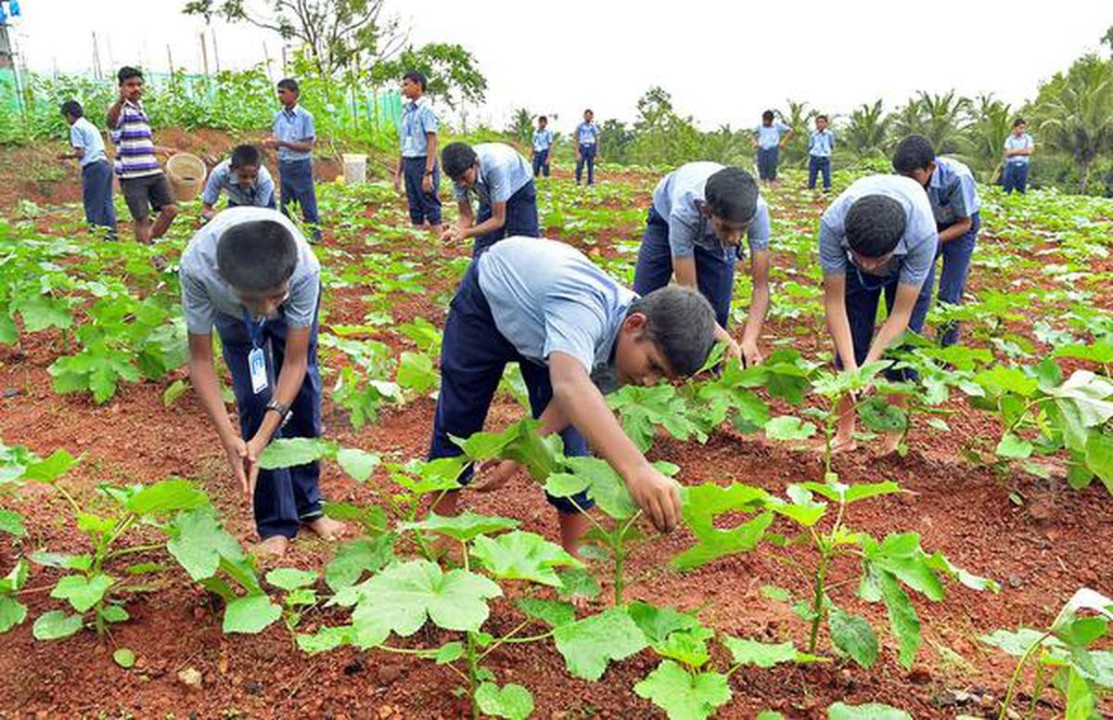 Organic Farming & Soil Life
