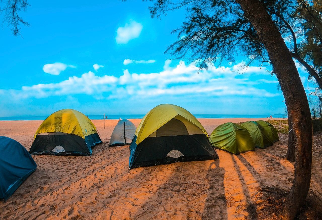 Summer Camps for Students